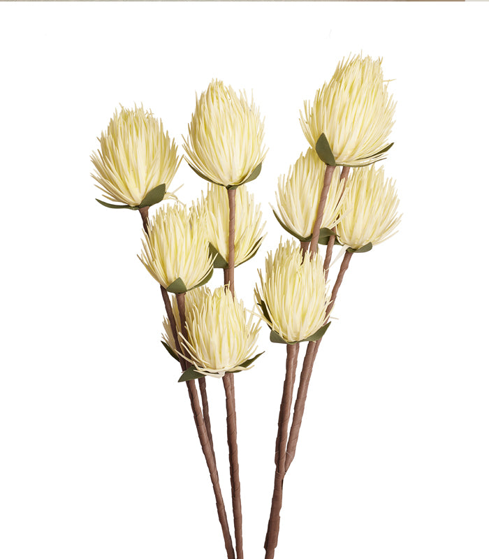 Full Moon Protea White - Set of 4