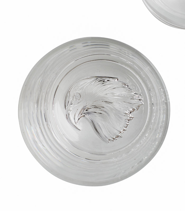 Hawk Tumblers  - Set of 2