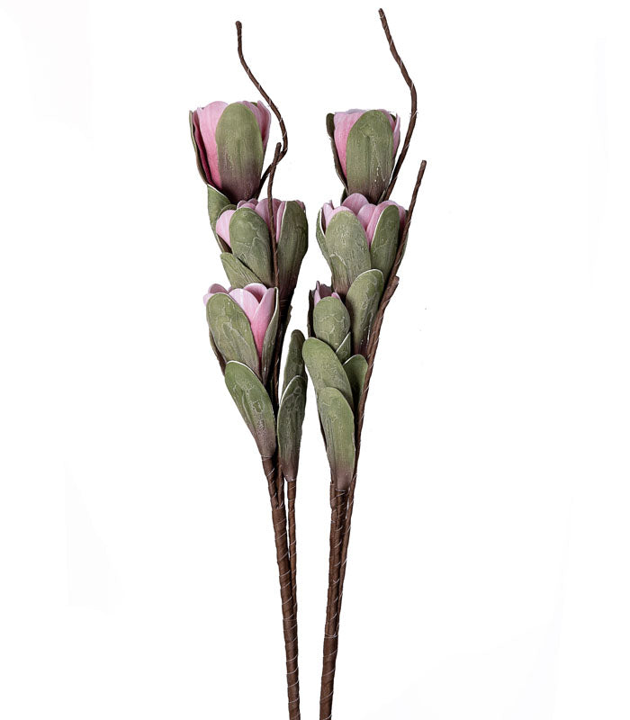 Jasmine Pink - Set of 2