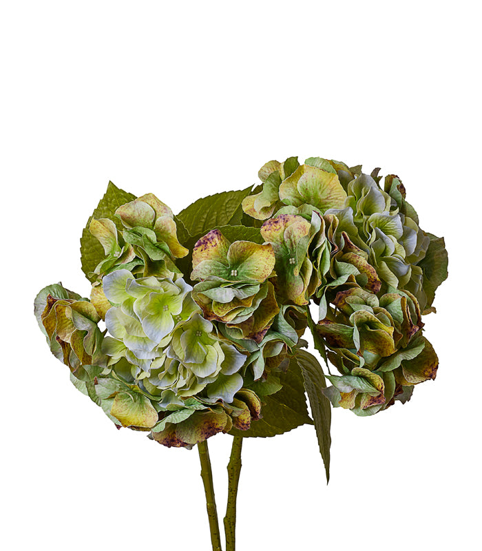 Malena Hydrangea - Green - Set of 2