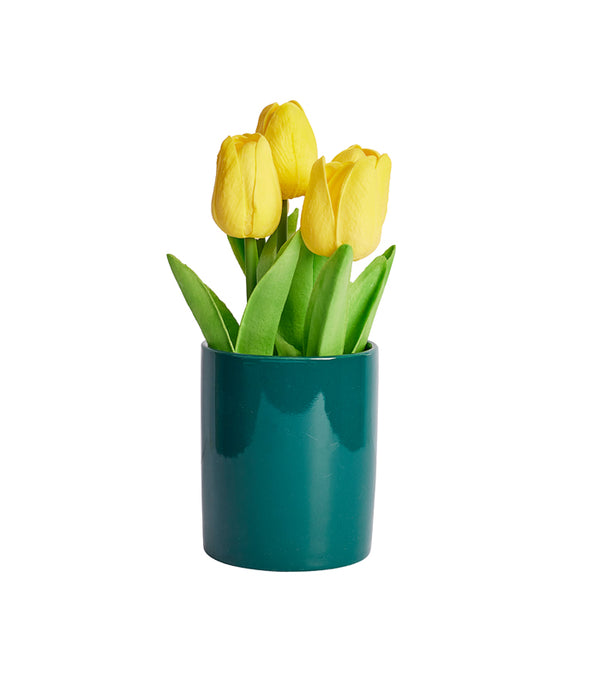 Maria Tulip - Yellow