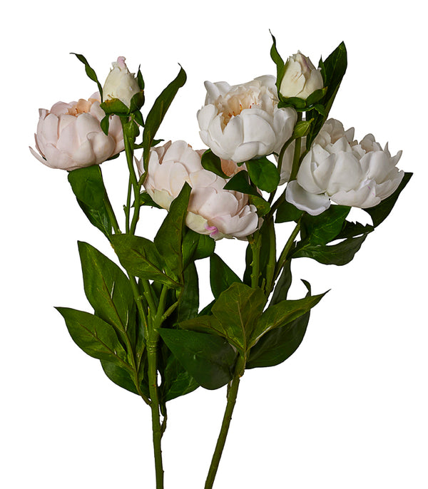 Peony Silk - Peach - Set of 2