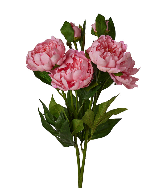 Peony Silk - Pink - Set of 2