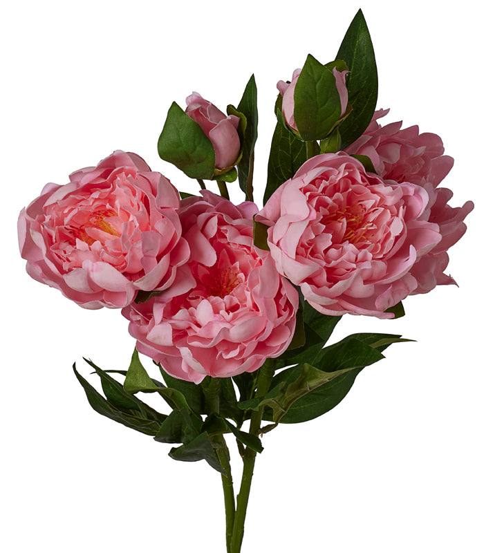 Peony Silk - Pink - Set of 2