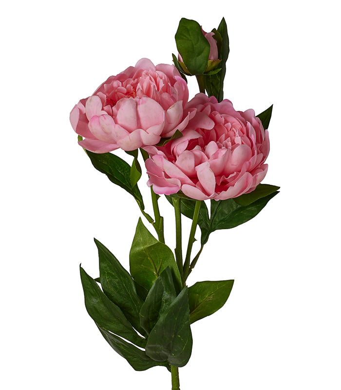 Peony Silk - Pink - Set of 2