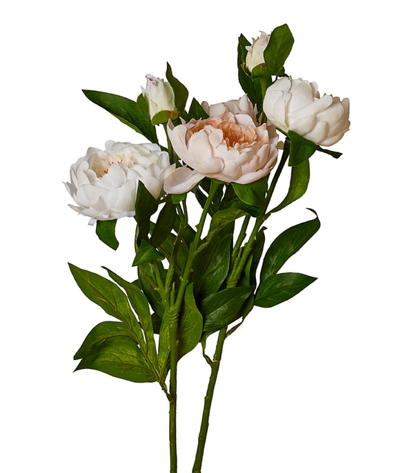 Peony Silk -White - Set of 2