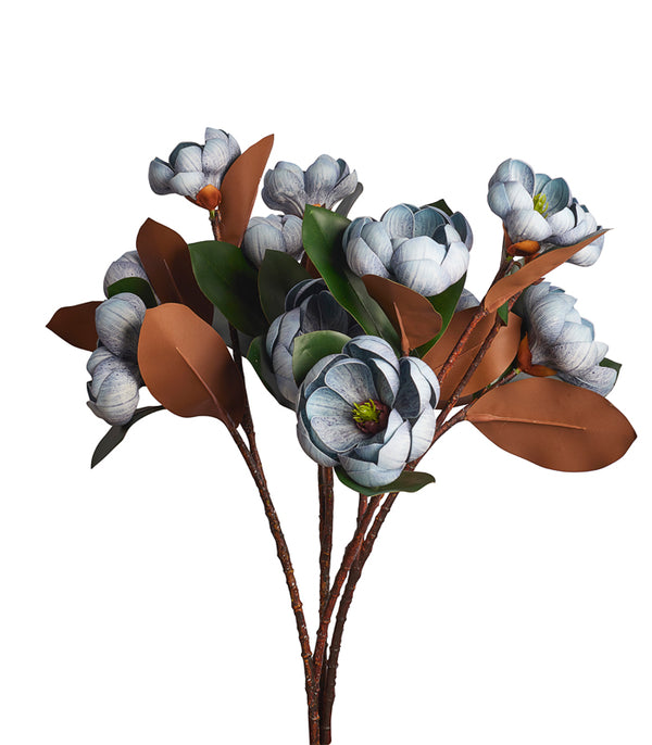 Rotyroya Magnolia Blue - Set of 4