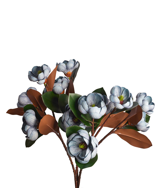 Rotyroya Magnolia Blue - Set of 4