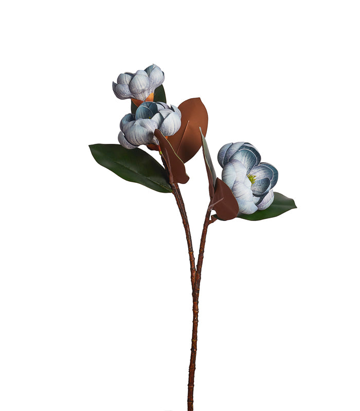 Rotyroya Magnolia Blue - Set of 4