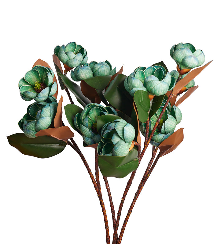 Rotyroya Magnolia Green - Set of 4