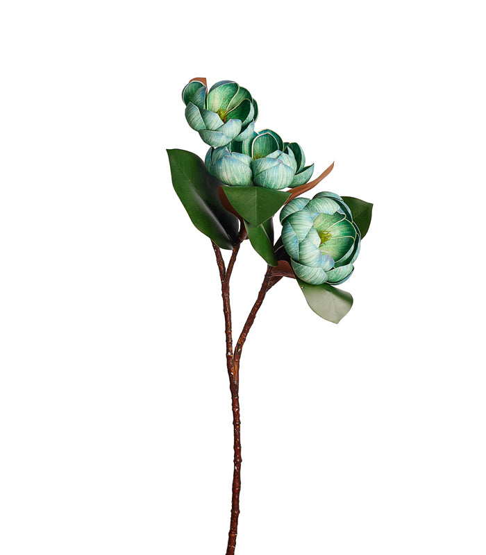 Rotyroya Magnolia Green - Set of 4