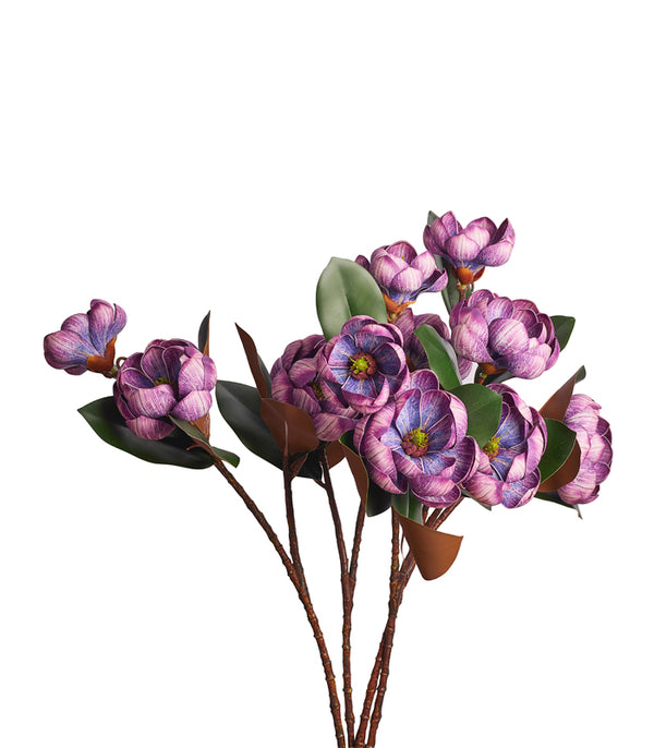 Rotyroya Magnolia Purple - Set of 2