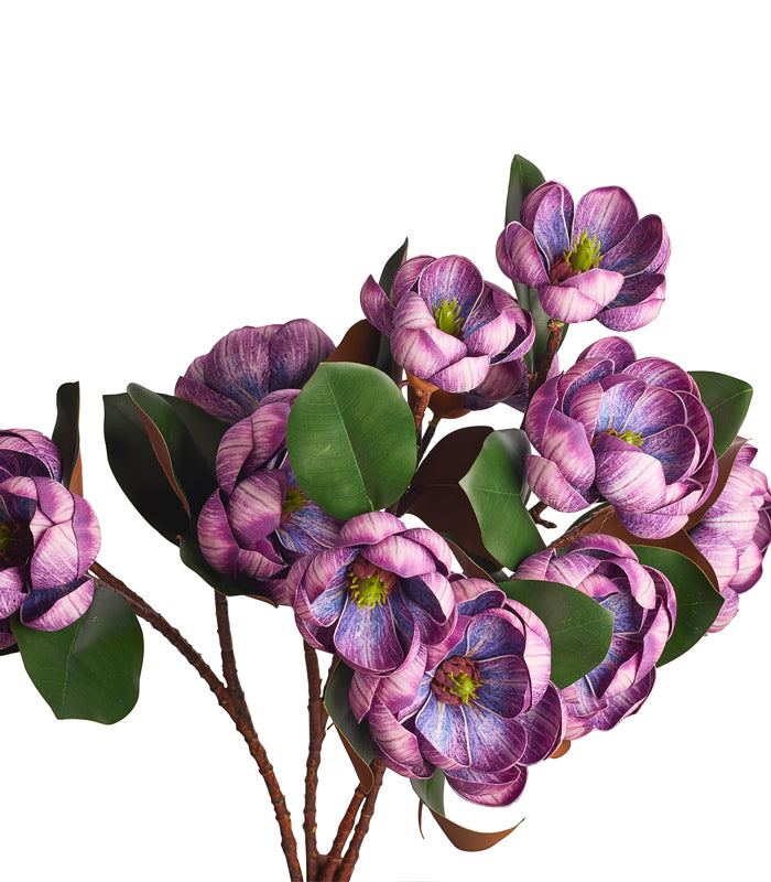 Rotyroya Magnolia Purple - Set of 2