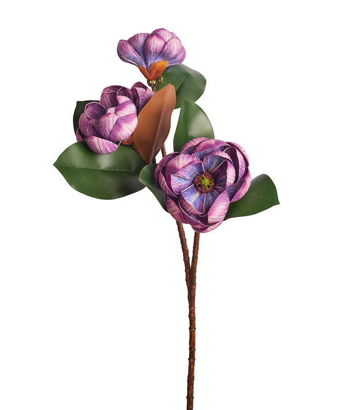 Rotyroya Magnolia Purple - Set of 2
