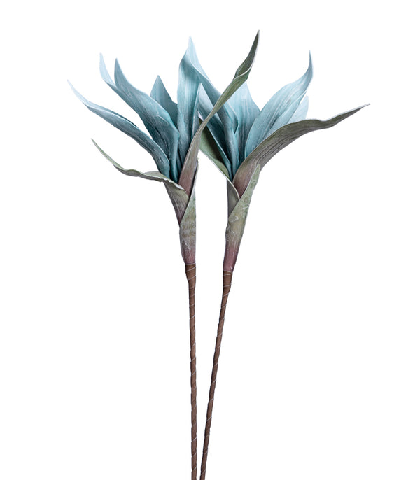 Scarlet gladiolus Blue- Set of 2