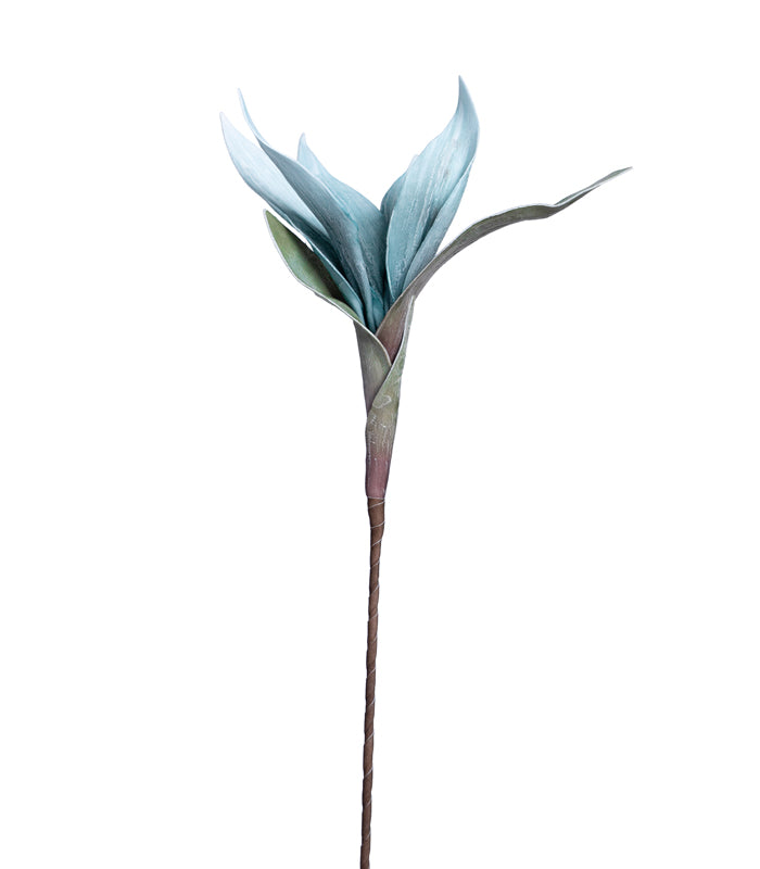 Scarlet gladiolus Blue- Set of 2