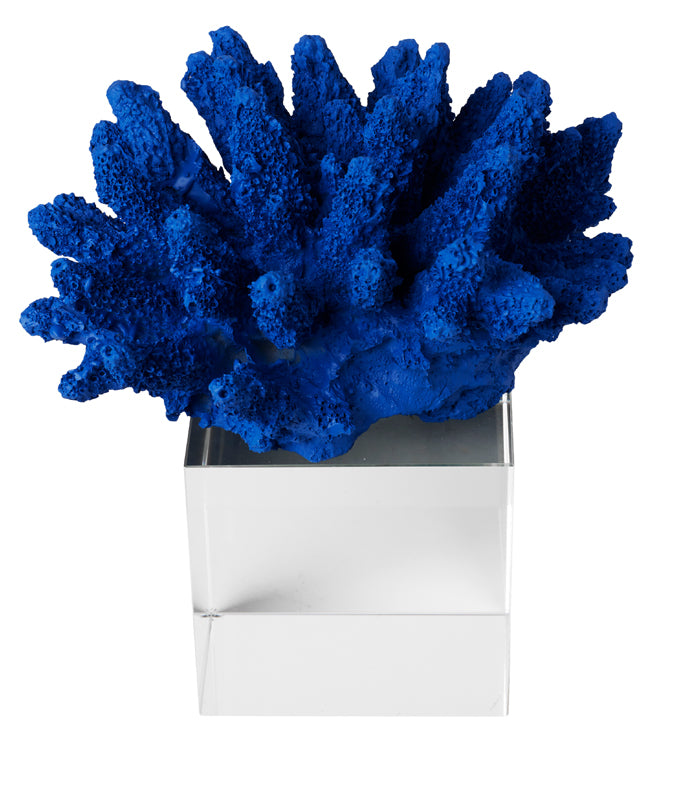Sea Shell Coral Sculpture - Blue