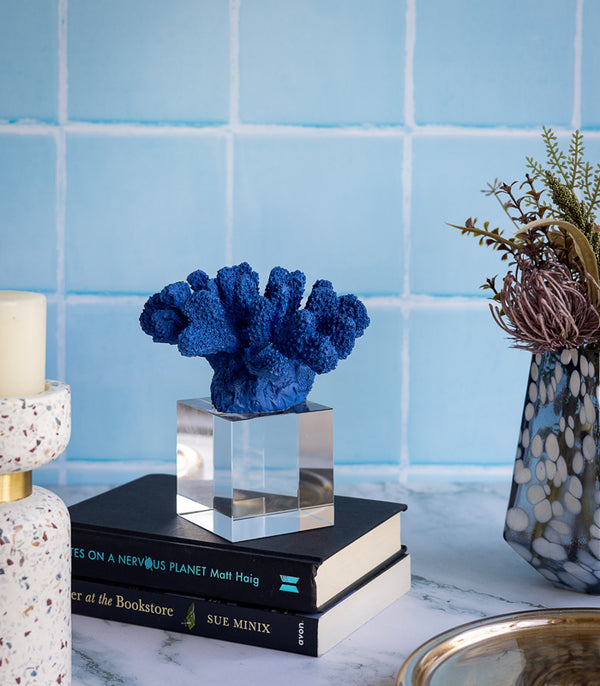 Sea Shell Coral Sculpture - Blue