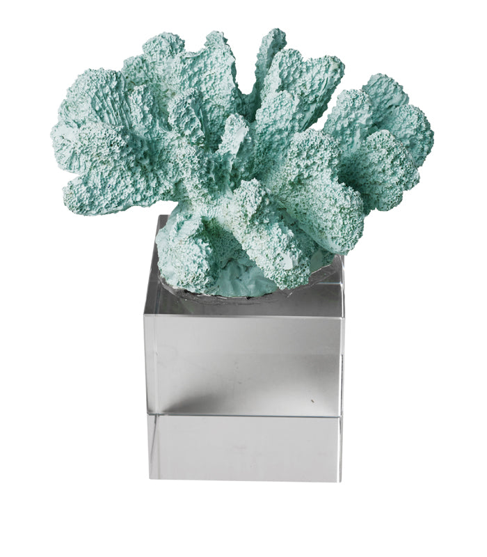 Sea Shell Coral - Mint