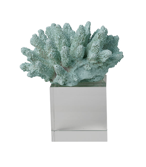 Sea Shell Coral - Mint
