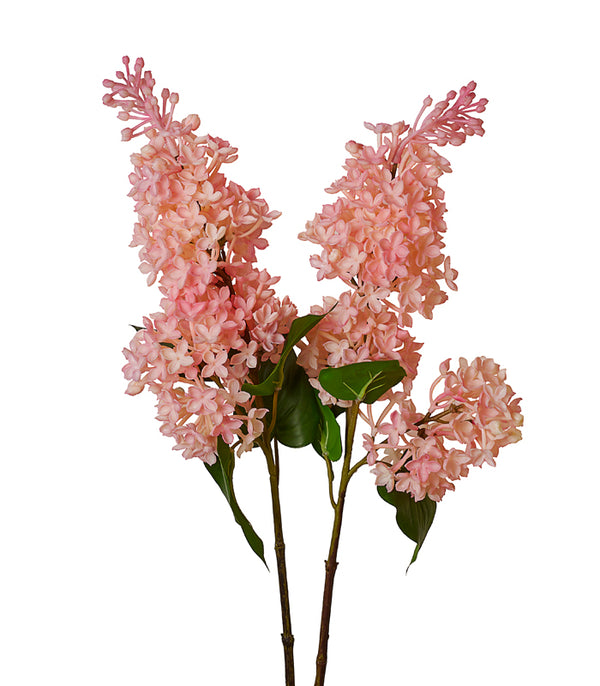 Silicon Hyacinth - Pink - Set of 2