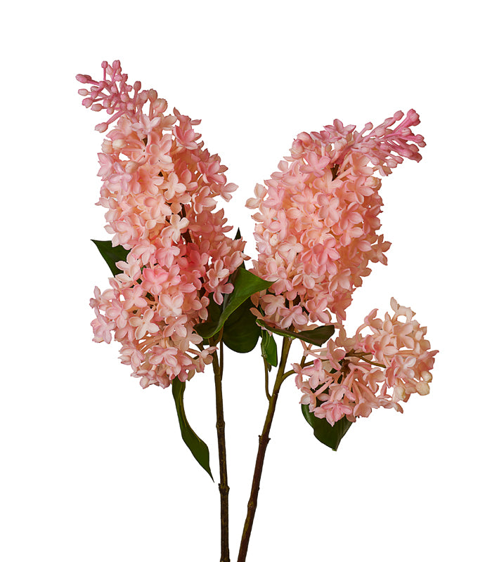 Silicon Hyacinth - Pink - Set of 2