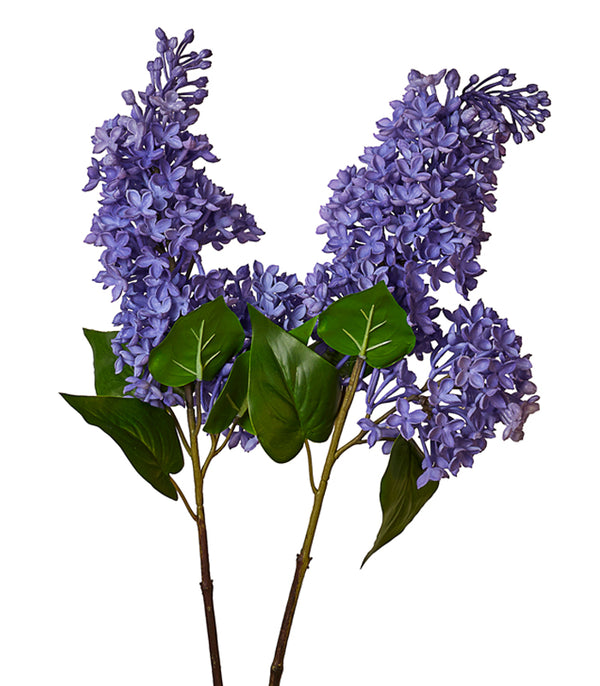 Silicon Hyacinth -Purple - Set of 2