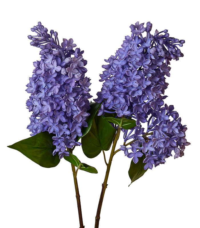 Silicon Hyacinth -Purple - Set of 2