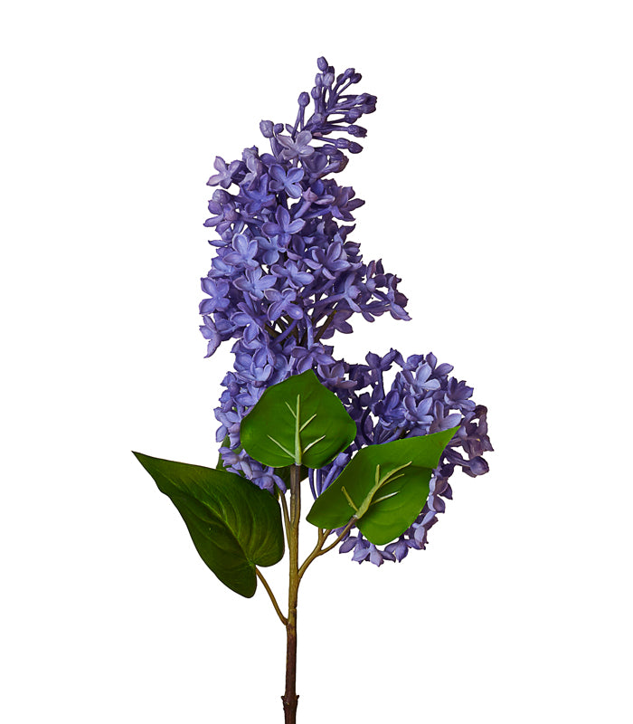 Silicon Hyacinth -Purple - Set of 2