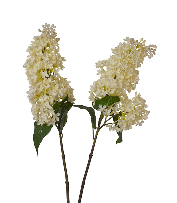 Silicon Hyacinth - White - Set of 2