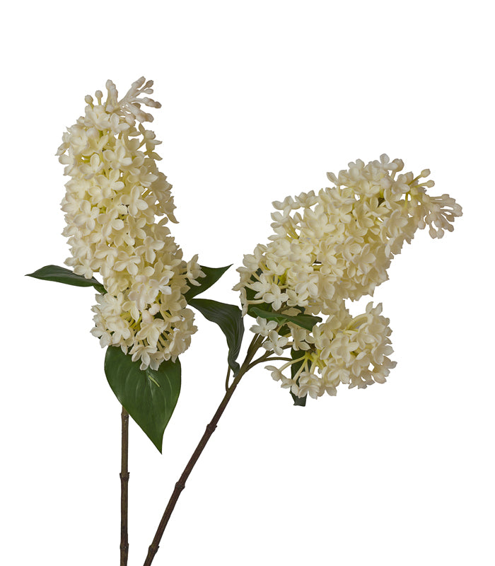 Silicon Hyacinth - White - Set of 2