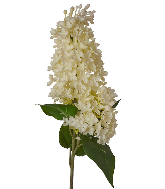 Silicon Hyacinth - White - Set of 2