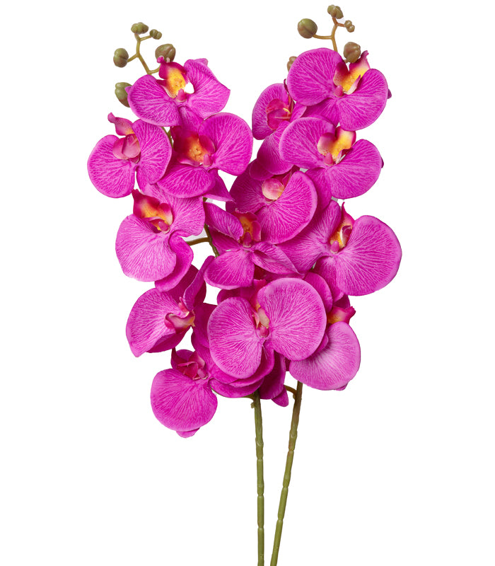 Southeastern orchid purple - Set of 2