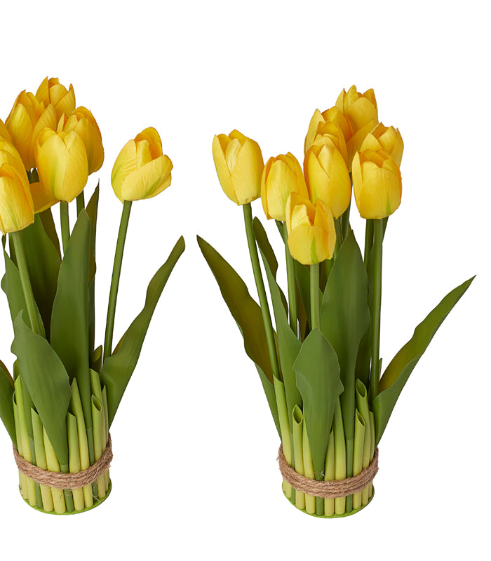 Tulips Stack - Medium - yellow