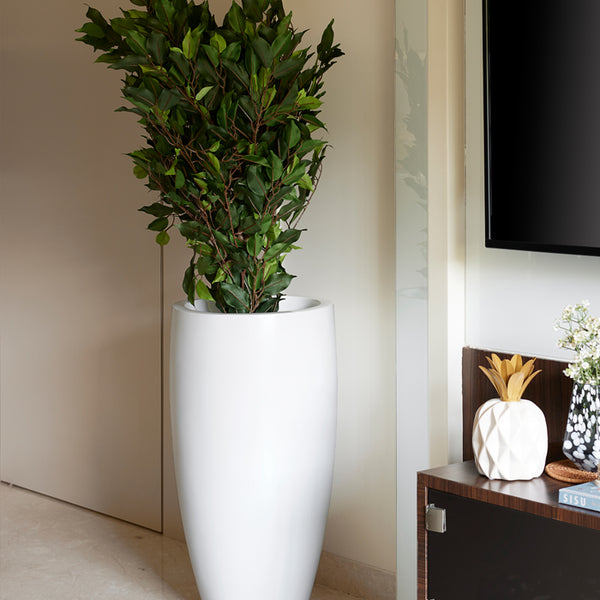 funnel plant pot White Funnel Planter – htohshop