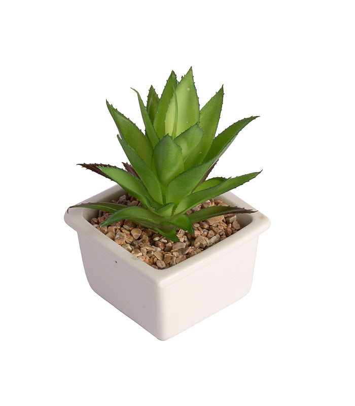 plastic aloe vera plant Aloe vera succulent – htohshop