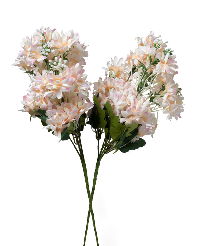 Arabian Jasmine - Peach - Set of 2