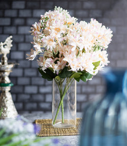 Arabian Jasmine - Peach - Set of 2