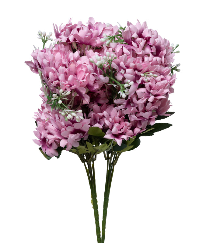 Arabian Jasmine - Pink - Set of 2