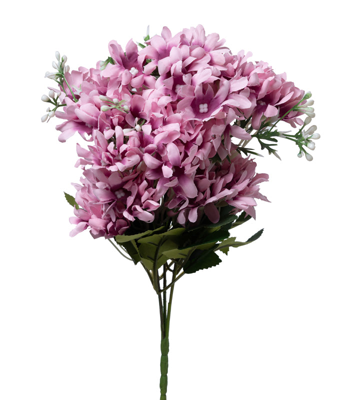 Arabian Jasmine - Pink - Set of 2