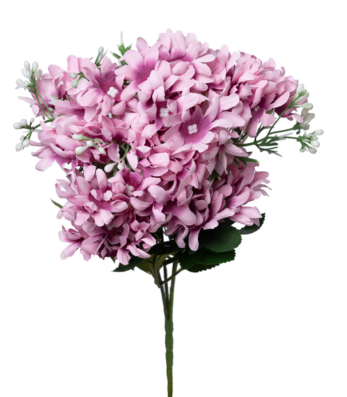 Arabian Jasmine - Pink - Set of 2