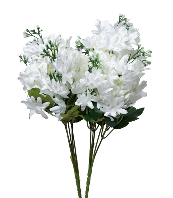 Arabian Jasmine - White - Set of 2