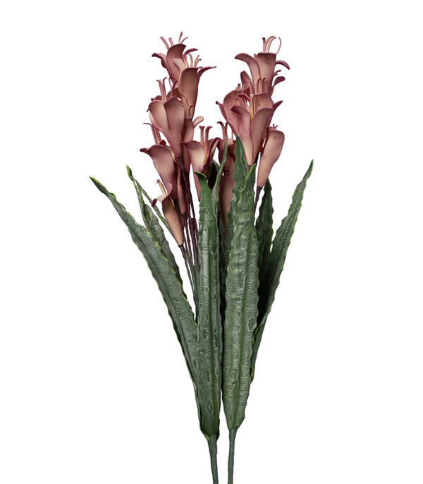 Arum Lily Dark Pink - Set of 2