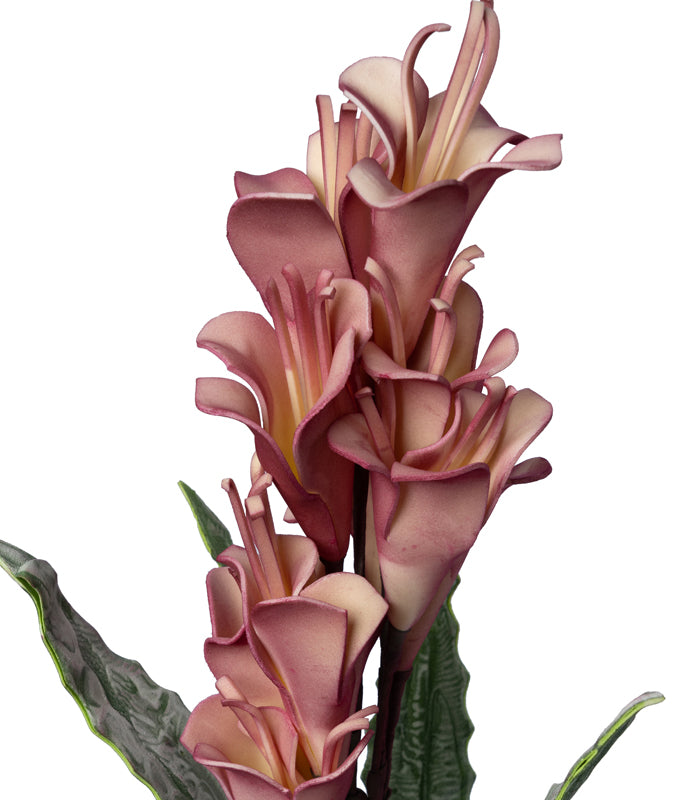 Arum Lily Dark Pink - Set of 2