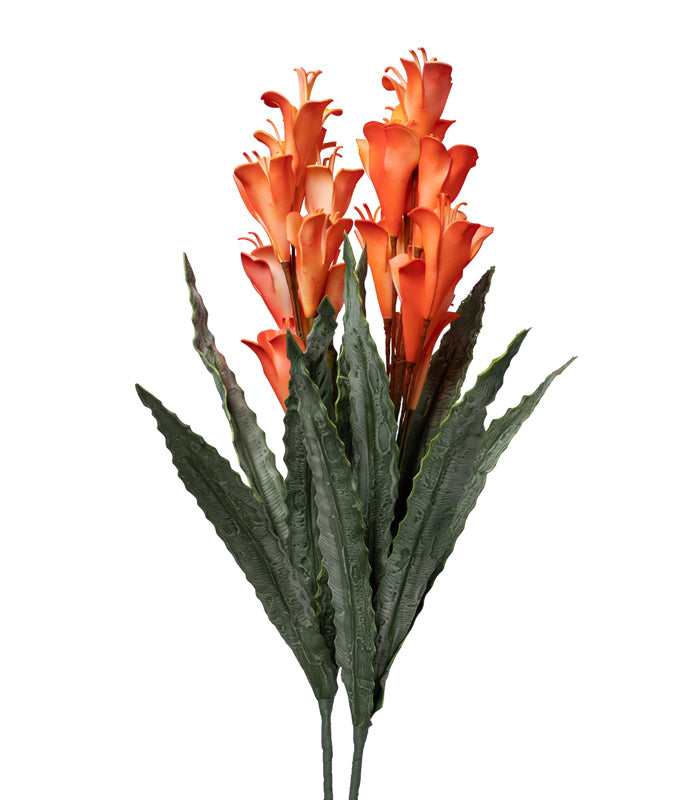 Arum Lily Orange - Set of 2