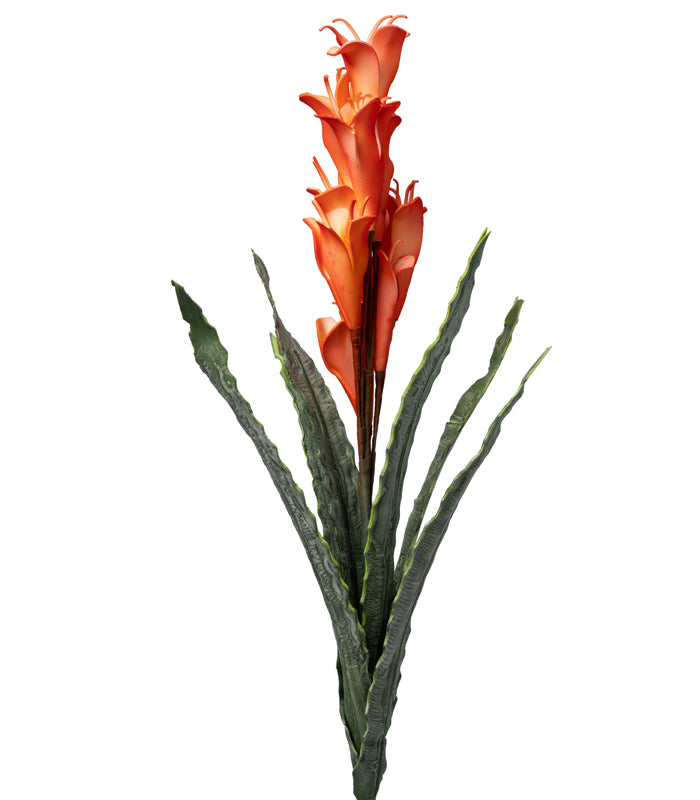 Arum Lily Orange - Set of 2