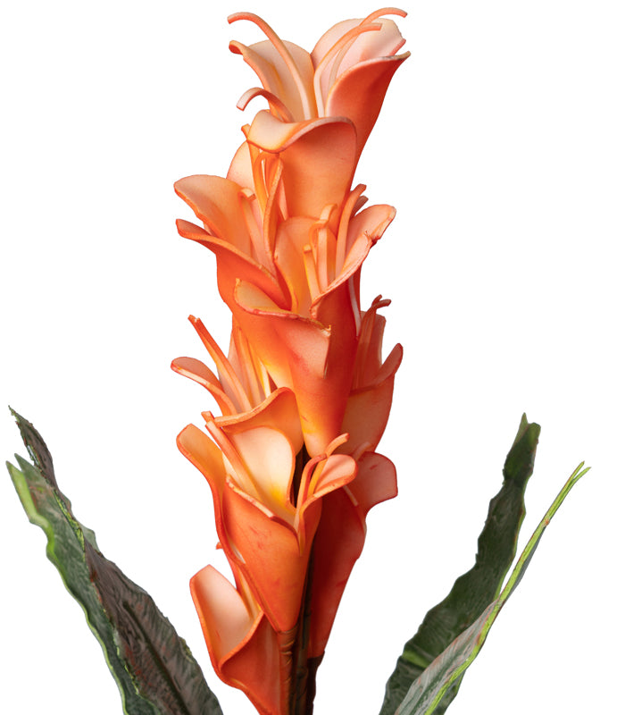 Arum Lily Orange - Set of 2