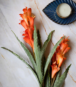 Arum Lily Orange - Set of 2