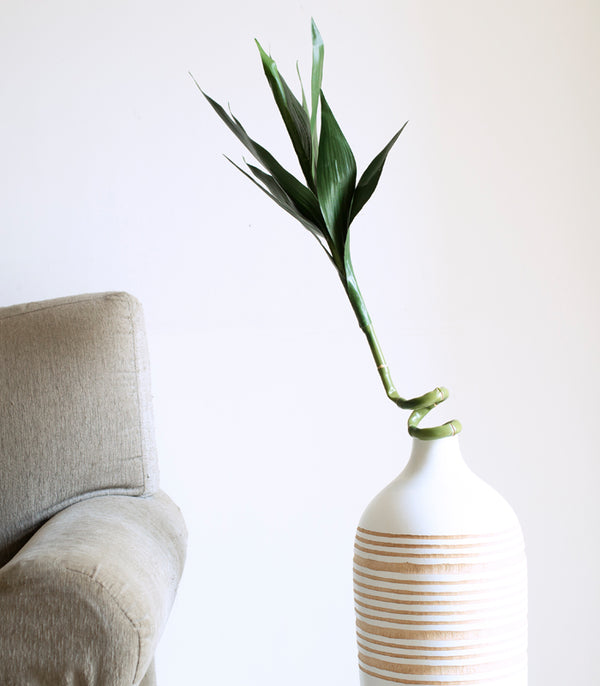 Bamboo Stock