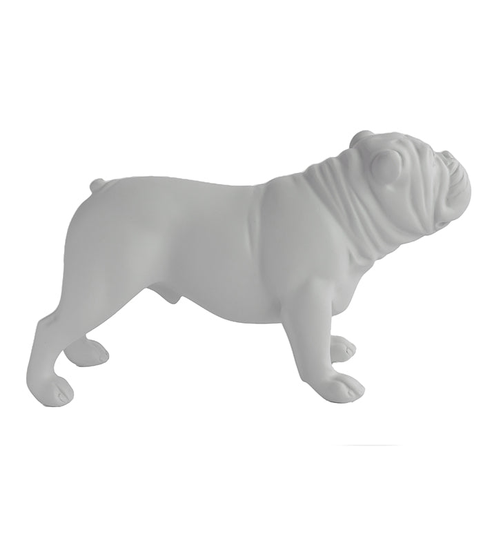 Bulldog - White
